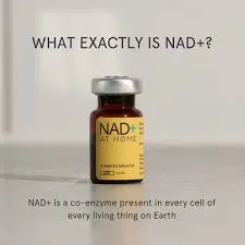 NAD Plus At Home