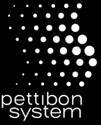 Pettibon System